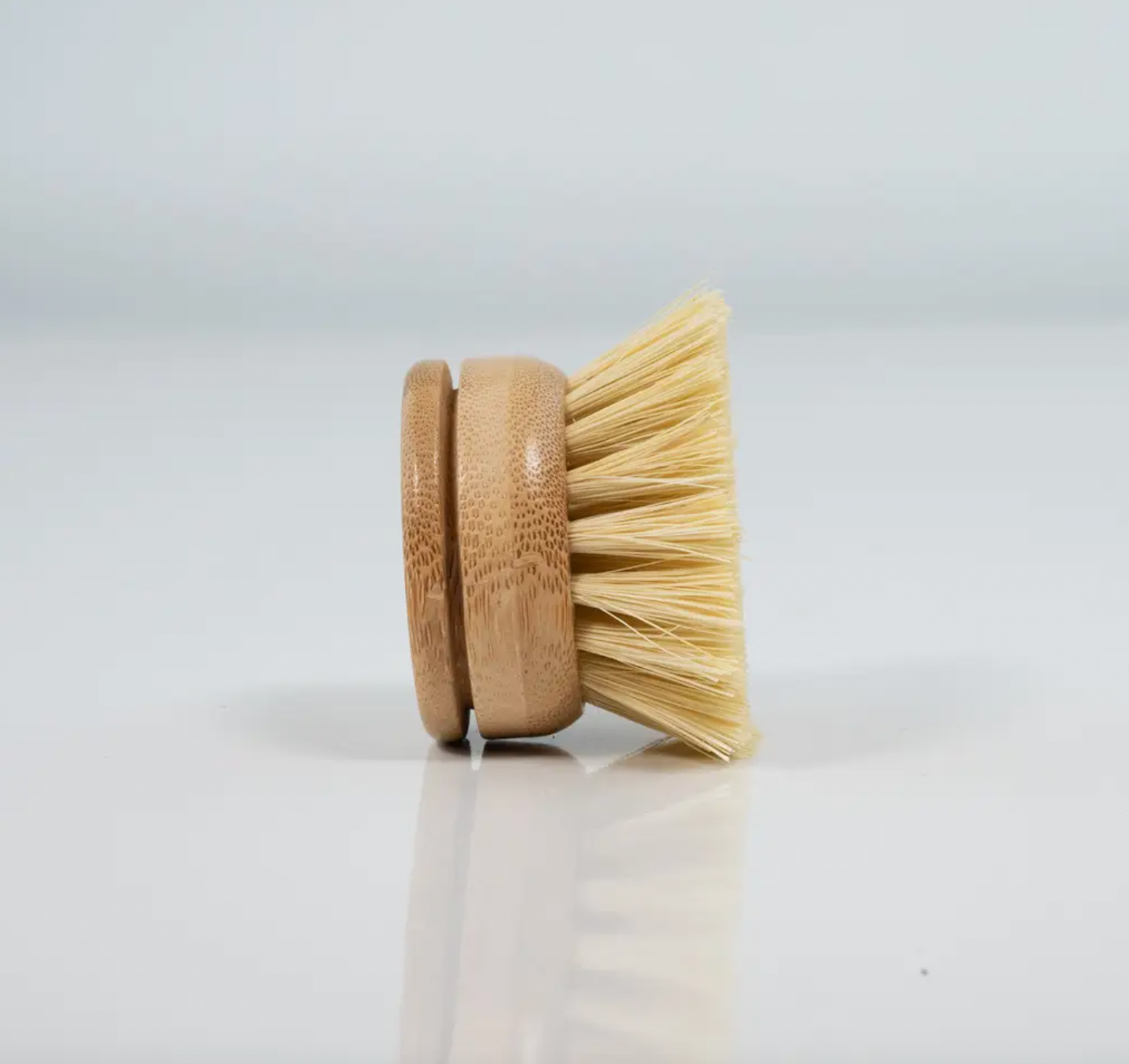 Bamboo Dish Brush Replacement Head