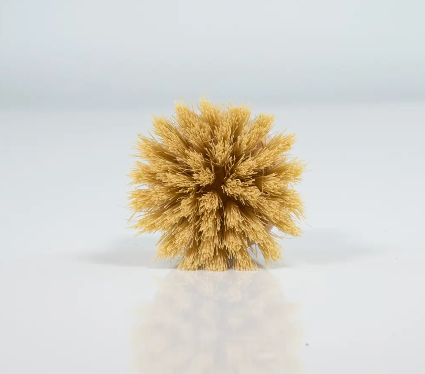 Bamboo Dish Brush Replacement Head