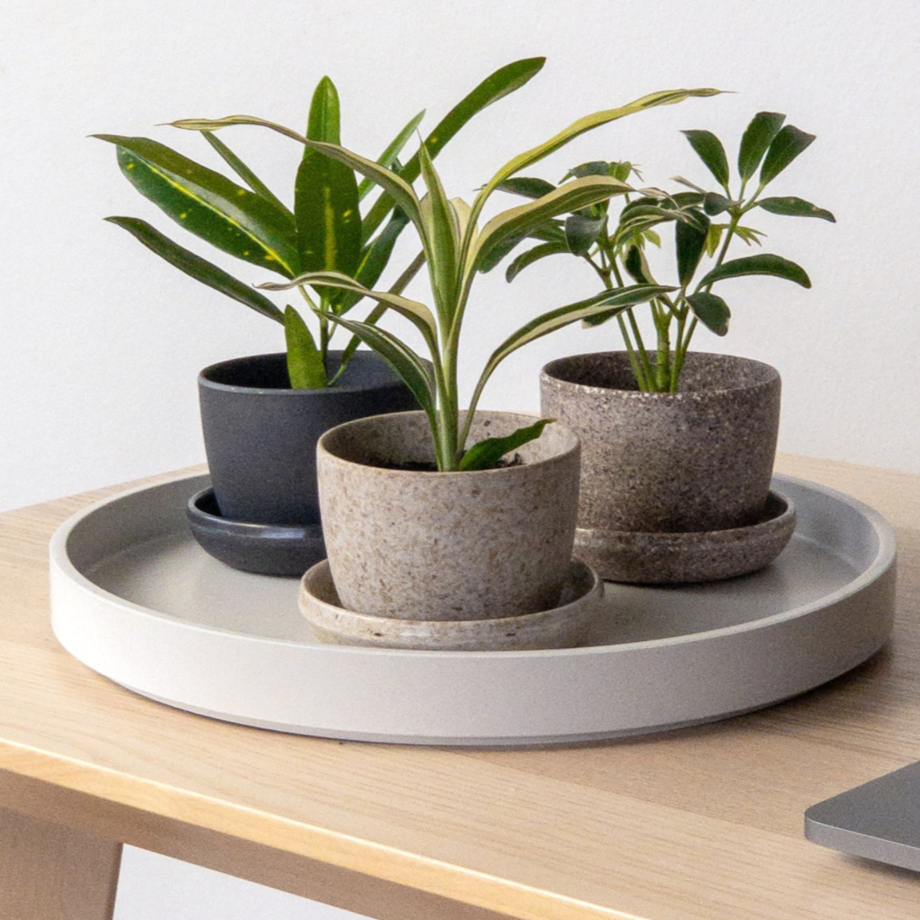 Round 11" Fiber Tray - White