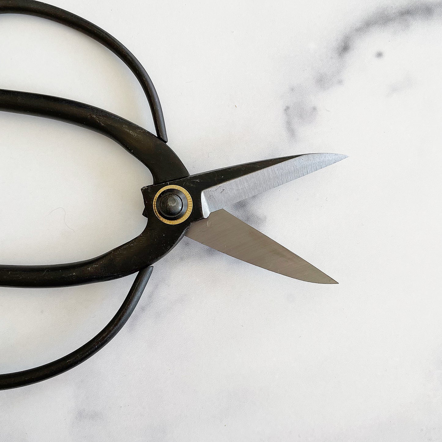Gardening Scissors