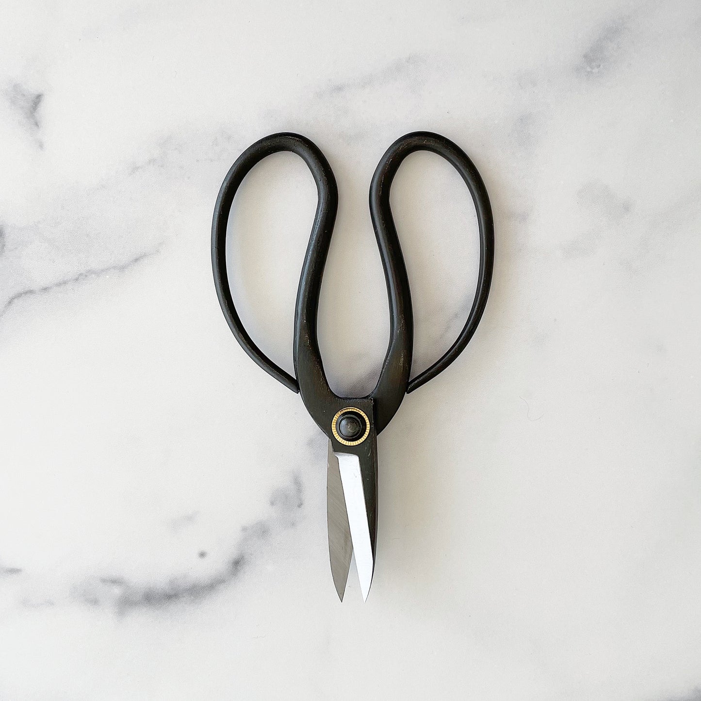 Gardening Scissors
