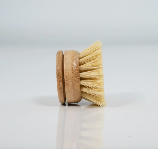 Bamboo Dish Brush Replacement Head